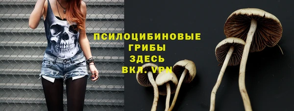 MESCALINE Каменка