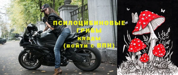 ГАЛЛЮЦИНОГЕННЫЕ ГРИБЫ Каменск-Шахтинский