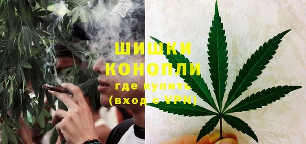 ГАЛЛЮЦИНОГЕННЫЕ ГРИБЫ Каменск-Шахтинский