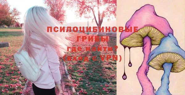 MESCALINE Каменка