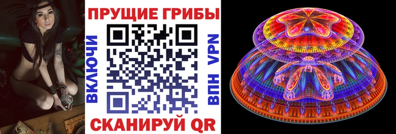 Купить где  Приозерск  Галлюциногенные грибы ЛСД 