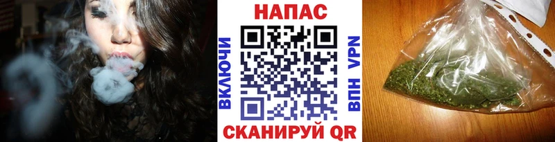 Купить  Приозерск  Каннабис сатива 